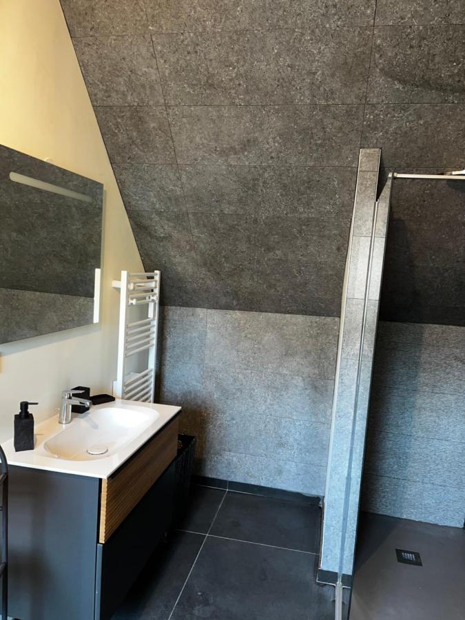 Magnifique Duplex Avec Jaccuzi, Sauna Et Cinema Room Privatif Fontenoy  Exterior foto